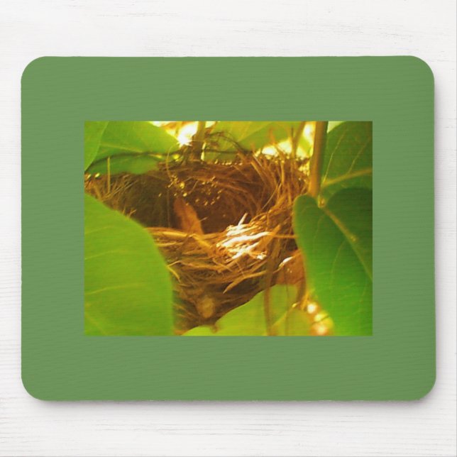 Mousepad Ninho de Pássaro Hummiing (Frente)