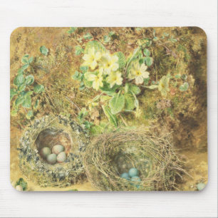 Mousepad Ninhos das prímulas e dos pássaros