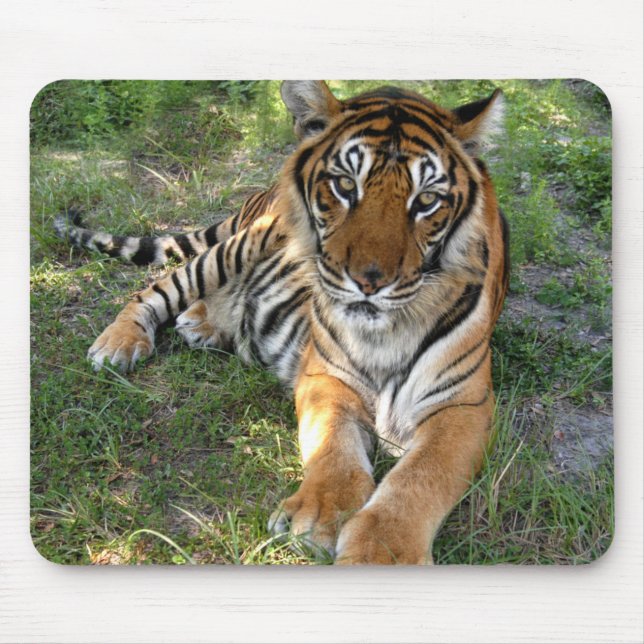 Mousepad nini 005 (Frente)