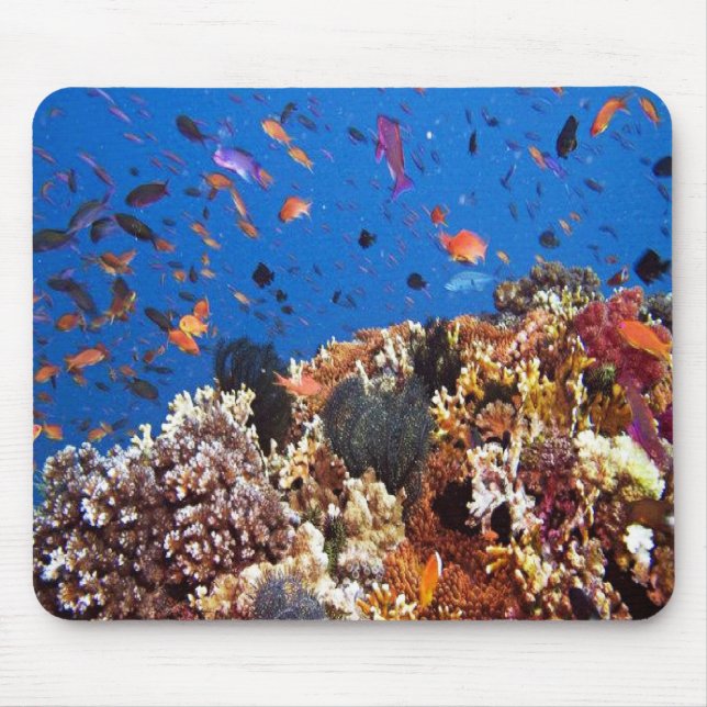 Mousepad No mar, cenas de peixes aquáticos (Frente)