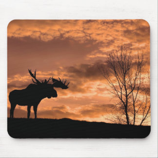 Mousepad no tapete do rato do por do sol