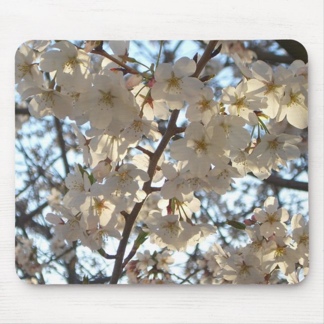 Mousepad Noite de Cherry Blossoms I Primavera Floral (Frente)