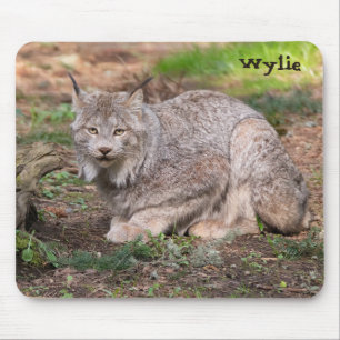 Mousepad Nome Personalizado do Lynx Nature Lover do Canadá