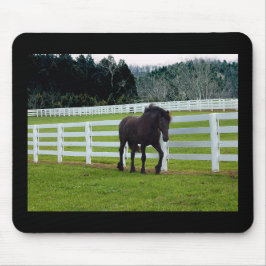 Mousepad Nonesuch no Cedar Point