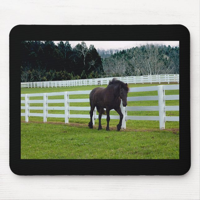 Mousepad Nonesuch no Cedar Point (Frente)