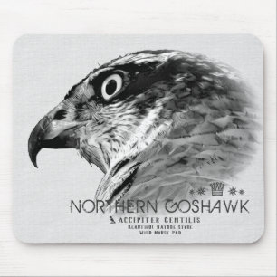 Mousepad Norte Goshawk