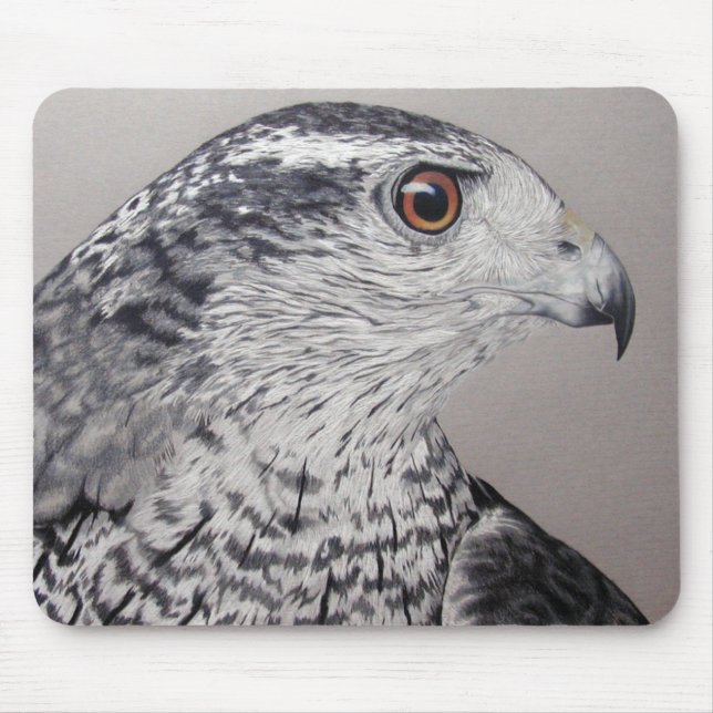 Mousepad Norte Goshawk (Frente)