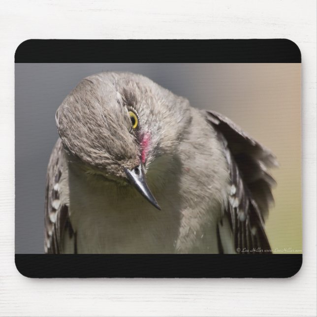 Mousepad Norte Mockingbird toma Roupa e presentes (Frente)