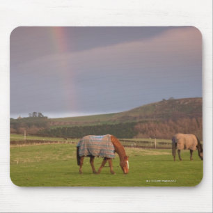 Mousepad Northumberland, Inglaterra