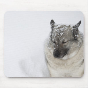 Mousepad Norueguês Elkhound