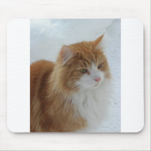 Mousepad Norueguês_Floresta_Cat