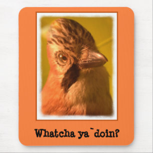 Mousepad Nosey Jay Bird