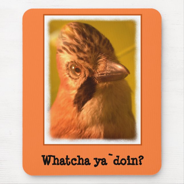 Mousepad Nosey Jay Bird (Frente)