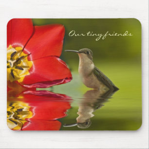 Mousepad Nossos amigos minúsculos. …