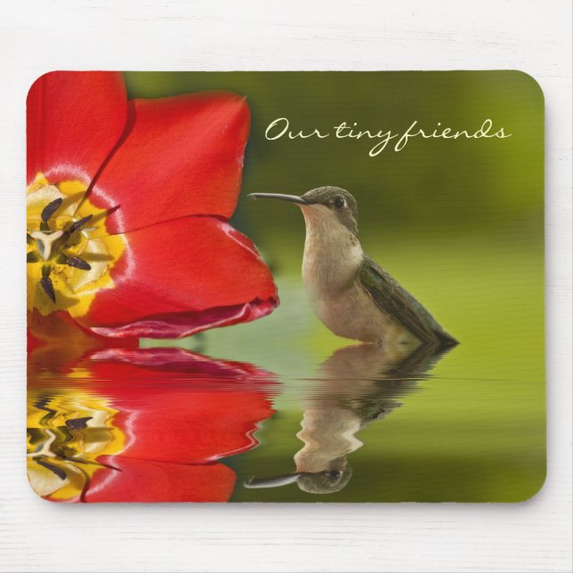 Mousepad Nossos pequenos amigos. . . . (Frente)