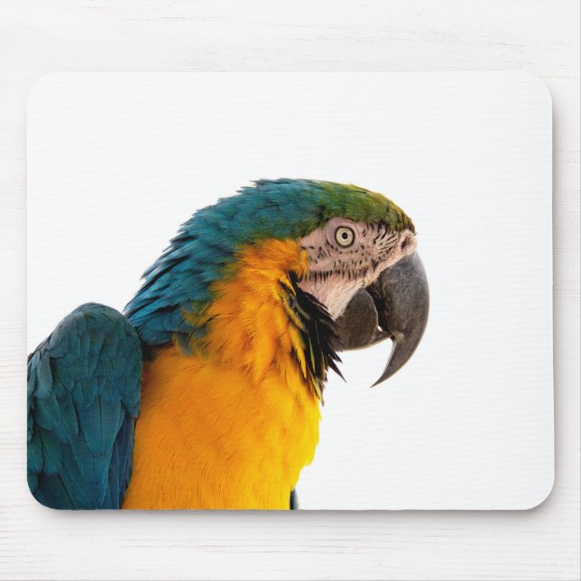 Mousepad Notas Post-it de Papagaio (Frente)