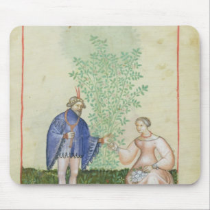 Mousepad Nouv Acq LatRoses, 'de Tacuinum Sanitatis