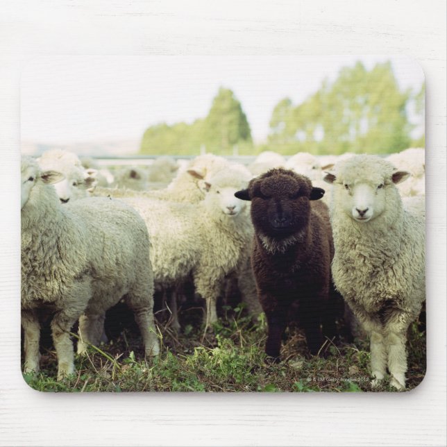 Mousepad Nova Zelândia (Frente)