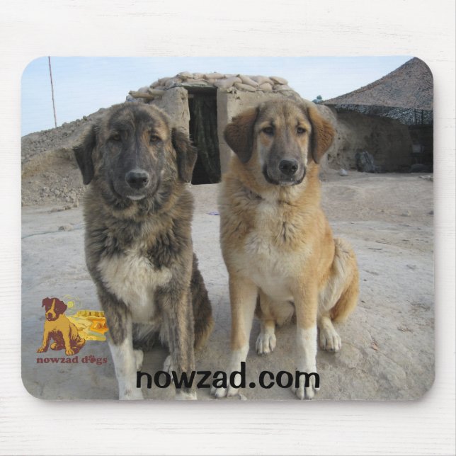 Mousepad Nowzad persegue a esteira do rato (Frente)