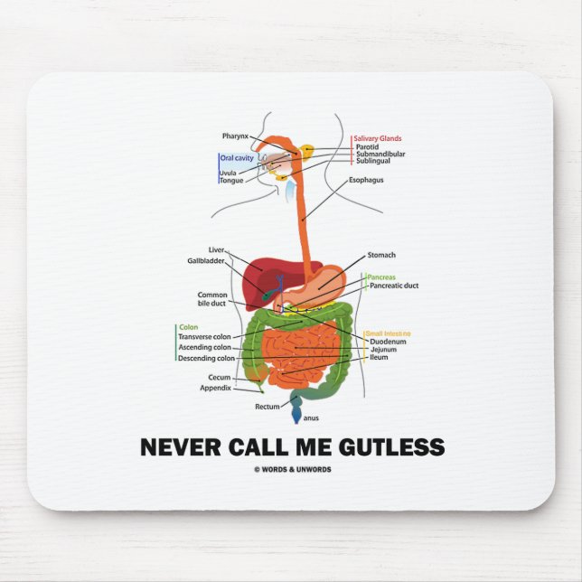 Mousepad Nunca chame-me Gutless (o humor do sistema (Frente)