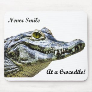 Mousepad Nunca sorria num crocodilo!