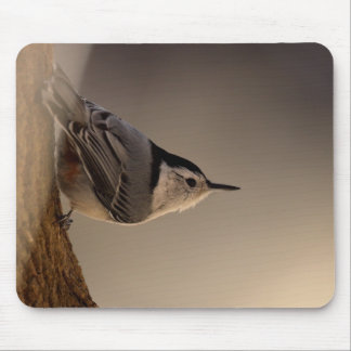 Mousepad Nuthatch_Mousepad