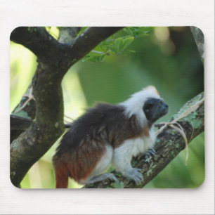 Mousepad O algodão cobriu o tapete do rato do Tamarin