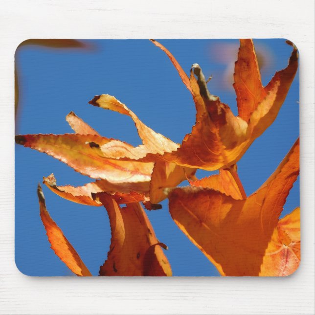 Mousepad O Autumn Deixa O Mouse (Frente)