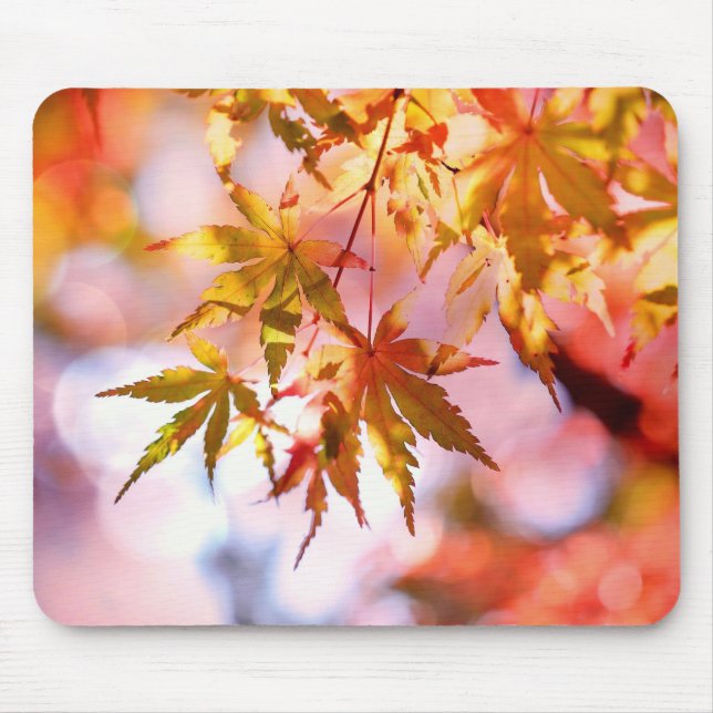 Mousepad O Autumn Deixa O Mouse (Frente)
