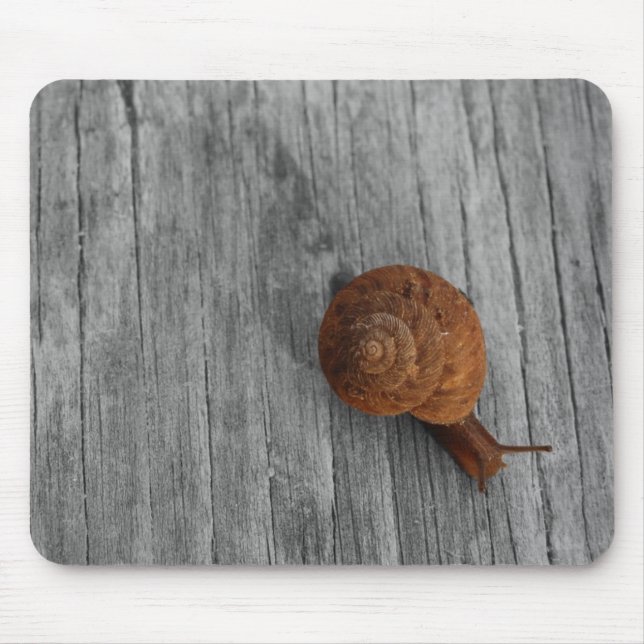 Mousepad O Bocal de Caracol do Solitário (Frente)