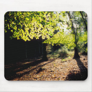 Mousepad O bosque na Primavera