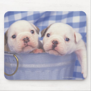 Mousepad O buldogue, chamado frequentemente o buldogue