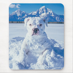 Mousepad O Cachorro Pitbull de Natal