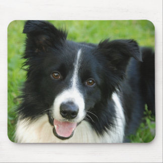 Mousepad O cão de border collie adiciona o animal de