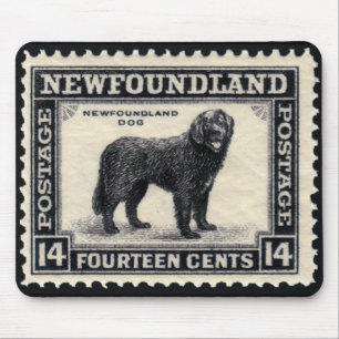 Mousepad O cão de Terra Nova carimba presentes
