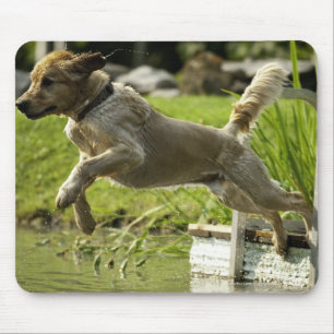 Mousepad O cão salta na lagoa