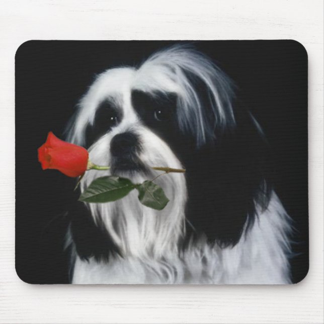 Mousepad O Cão Shih Tzu (Frente)