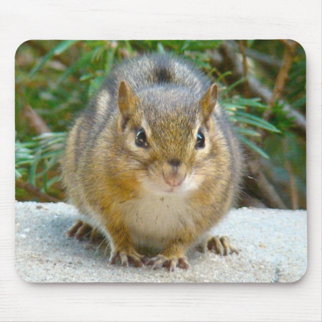 Mousepad O Chipset Bonito Está De Olho Em Você (Frente)