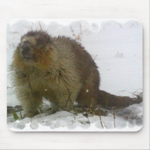 Mousepad O clássico Beavers o tapete do rato