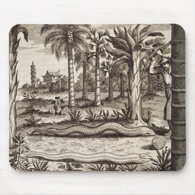 Mousepad O cobra de pedra, de "China ilustrou" por Athan (Frente)