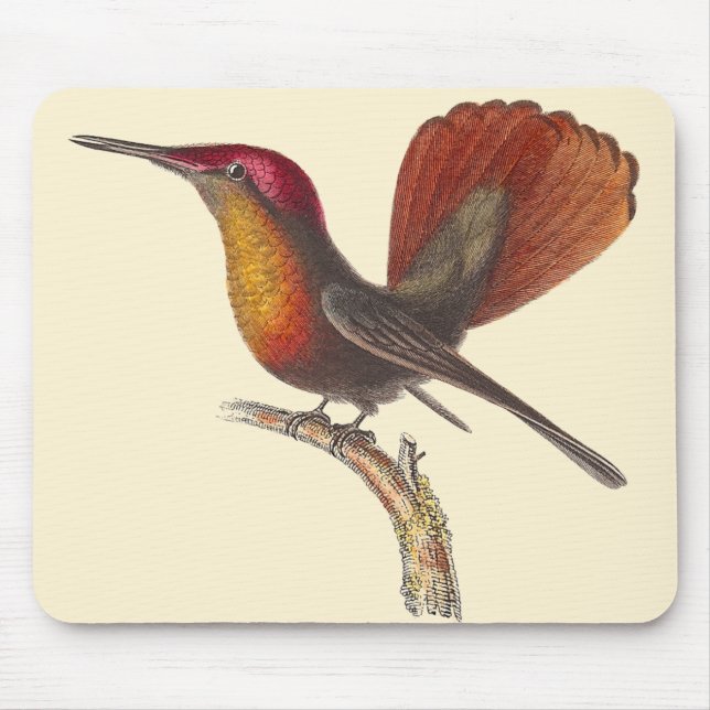 Mousepad O colibri do topázio do rubi - lição de Rene (Frente)
