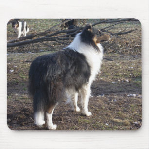 Mousepad O Collie da Tri cor