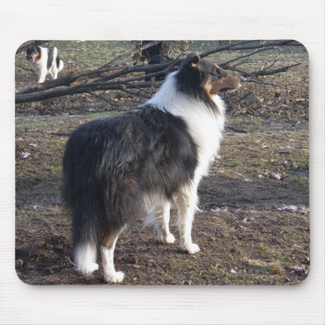 Mousepad O Collie de três cores (Frente)