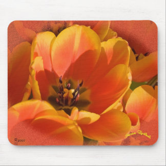 Mousepad O coração da matéria