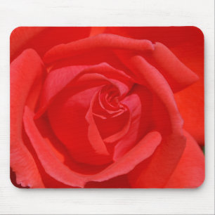 Mousepad O coral aumentou