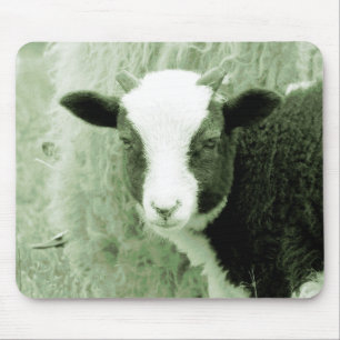 Mousepad O cordeiro de Sweetheart em tons verdes