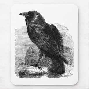 Mousepad O corvo