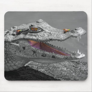 Mousepad O crocodilo sorridente e as moscas - Costa Rica