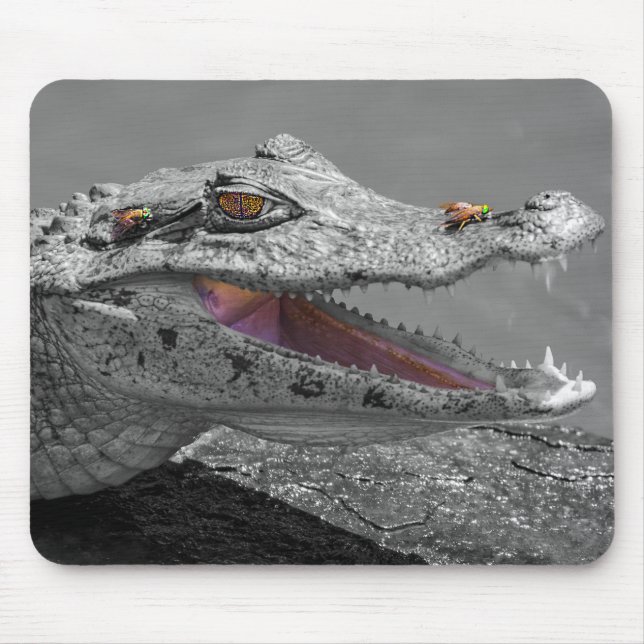 Mousepad O crocodilo sorridente e as moscas - Costa Rica (Frente)