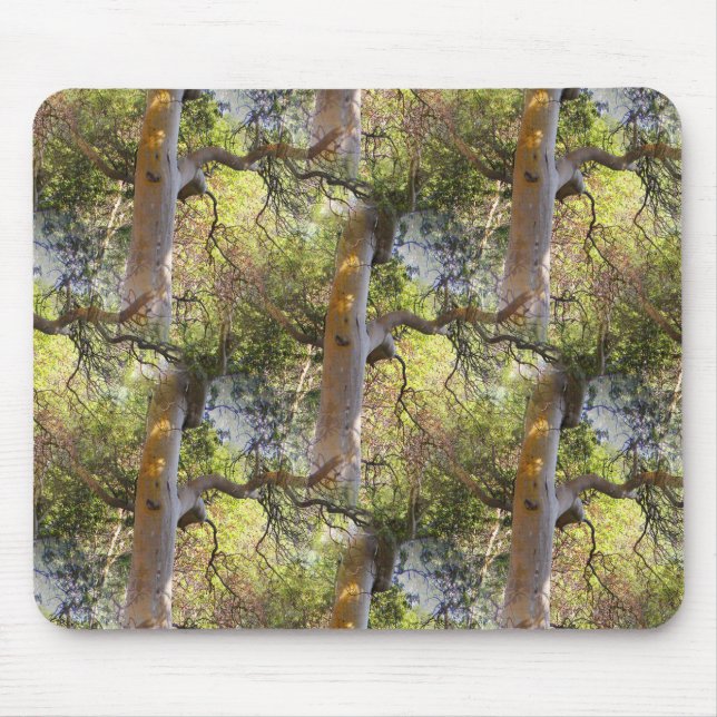 Mousepad O Dia das Árvores... (Frente)